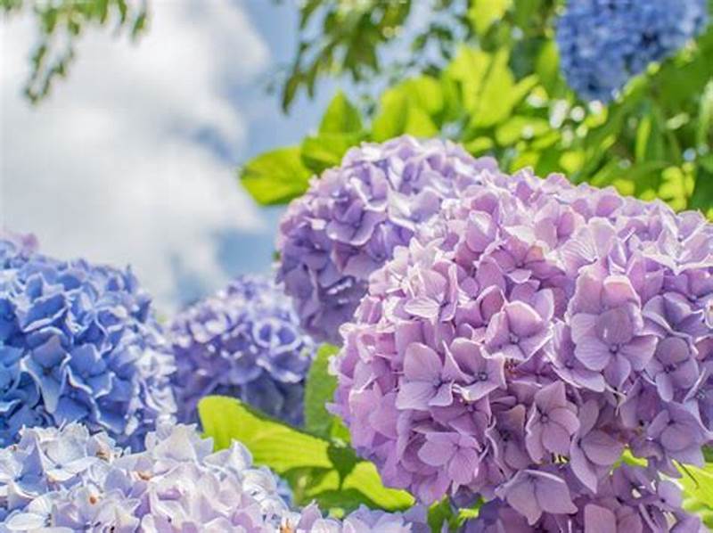 我慢と忍耐の考え方 | 渋谷ダイエット教室、代々木ダイエット、スリムクラブ Slimclub