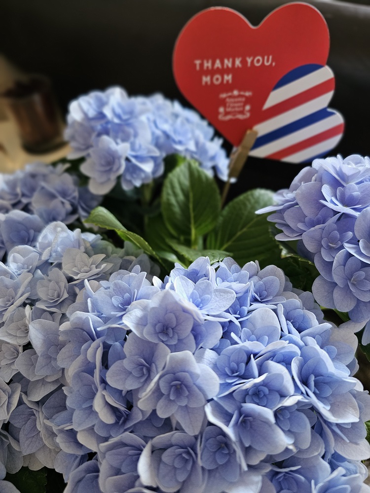 梅雨がやってくる | 渋谷ダイエット教室、代々木ダイエット、スリムクラブ Slimclub