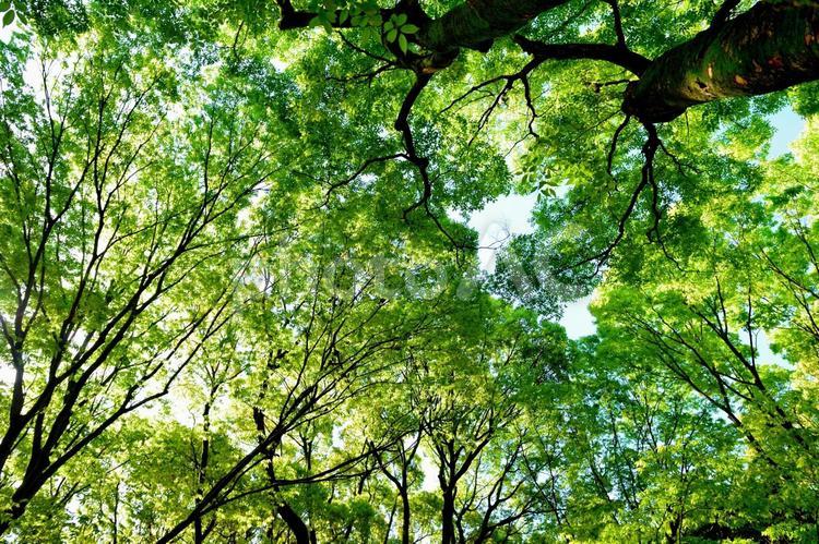 リフレッシュの休日 | 渋谷ダイエット教室、代々木ダイエット、スリムクラブ Slimclub