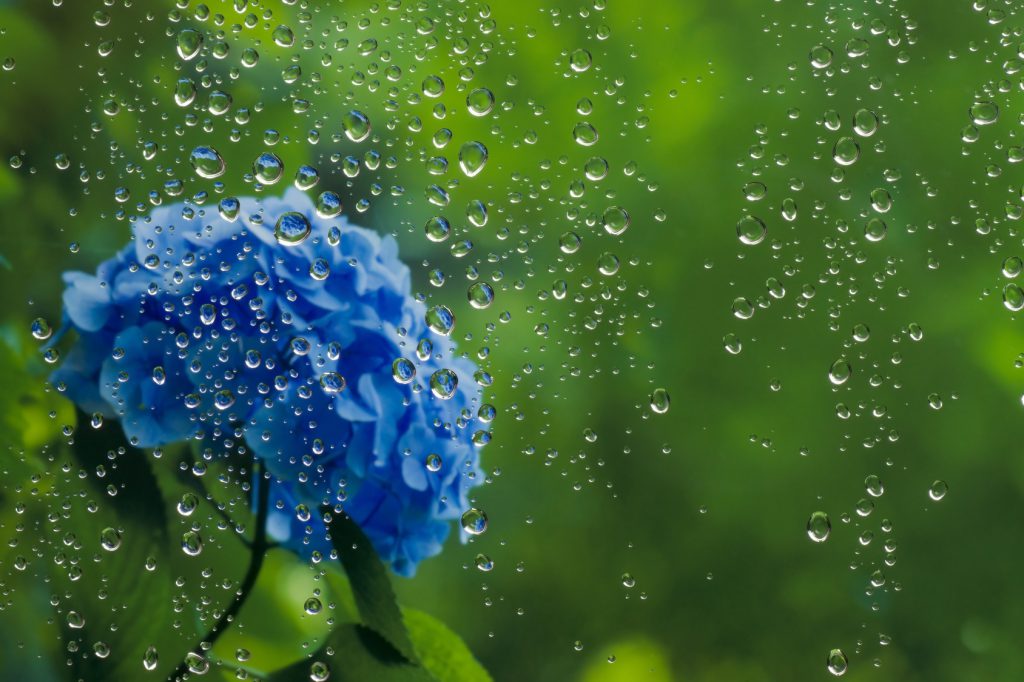 忙しい一日 | 渋谷ダイエット教室、代々木ダイエット、スリムクラブ Slimclub