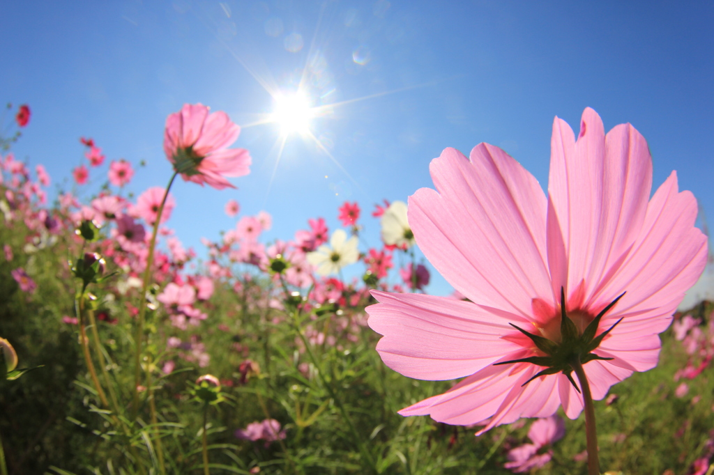 未来への扉 | 渋谷ダイエット教室、代々木ダイエット、スリムクラブ Slimclub