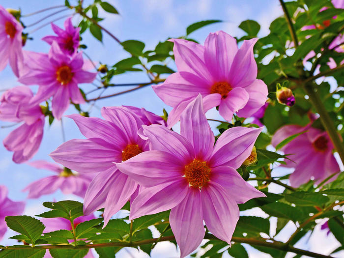 プレッシャーの中で、自分を支えるには | 渋谷ダイエット教室、代々木ダイエット、スリムクラブ Slimclub