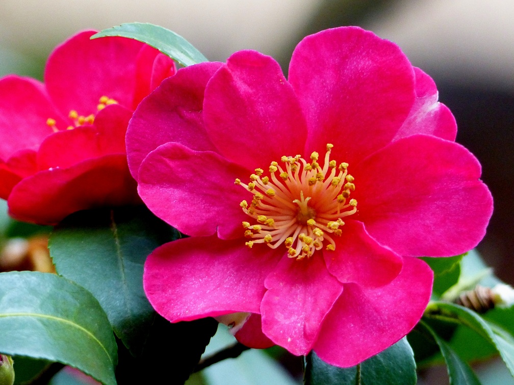 真冬の時間が、春をつくる | 渋谷ダイエット教室、代々木ダイエット、スリムクラブ Slimclub